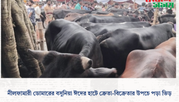 নীলফামারী ডোমারের বসুনিয়া ঈদের হাটে ক্রেতা-বিক্রেতার উপচে পড়া ভিড়