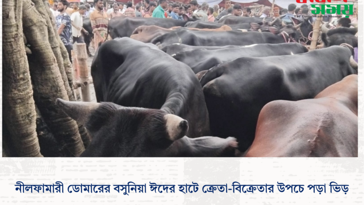 নীলফামারী ডোমারের বসুনিয়া ঈদের হাটে ক্রেতা-বিক্রেতার উপচে পড়া ভিড়