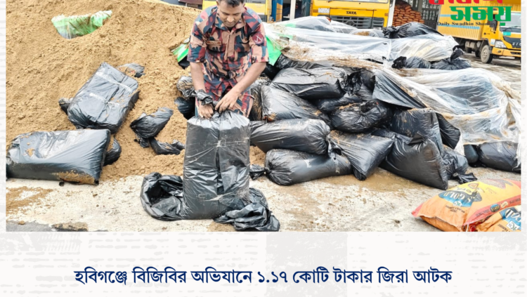 হবিগঞ্জে বিজিবির অভিযানে ১.১৭ কোটি টাকার জিরা আটক
