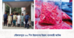 দৌলতপুরে ৩০ পিস ইয়াবাসহ ইয়াবা ব্যবসায়ী আটক