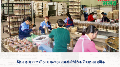 চীনে কৃষি ও পর্যটনের সমন্বয়ে সমবায়ভিত্তিক উন্নয়নের দৃষ্টান্ত