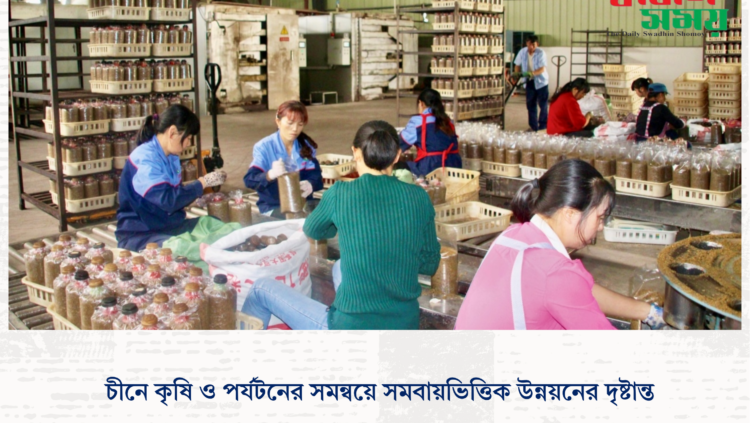 চীনে কৃষি ও পর্যটনের সমন্বয়ে সমবায়ভিত্তিক উন্নয়নের দৃষ্টান্ত