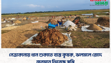 নেত্রকোনায় ধান শুকাতে ব্যস্ত কৃষক, ঝলমলে রোদে জনমনে ফিরেছে স্বস্তি
