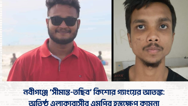 নবীগঞ্জে ‘সীমান্ত-তছিব’ কিশোর গ্যাংয়ের আতঙ্ক: অতিষ্ঠ এলাকাবাসীর এমপির হস্তক্ষেপ কামনা