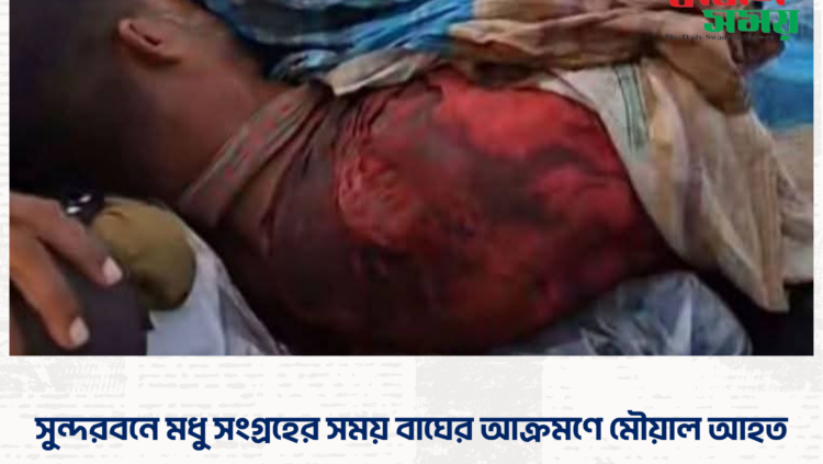 সুন্দরবনে মধু সংগ্রহের সময় বাঘের আক্রমণে মৌয়াল আহত