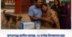 সুন্দরগঞ্জে র‍্যাবিস আতঙ্ক, ৭২ ঘণ্টায় তিনজনের মৃত্যু