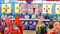 ঠাকুরগাঁওয়ে পুষ্টিসমৃদ্ধ জিংক ব্রি ধান-১০২ চাষে উদ্বুদ্ধ করতে কৃষক মাঠ দিবস অনুষ্ঠিত