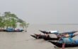 সুন্দরবনে রাষ্ট্রীয় কোষাগারে বড় ধরনের রাজস্ব ফাঁকি