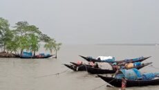 সুন্দরবনে রাষ্ট্রীয় কোষাগারে বড় ধরনের রাজস্ব ফাঁকি