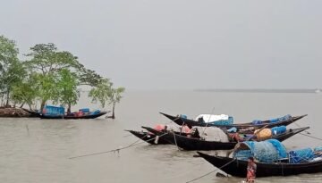 সুন্দরবনে রাষ্ট্রীয় কোষাগারে বড় ধরনের রাজস্ব ফাঁকি