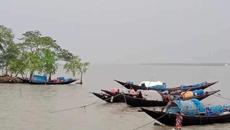 সুন্দরবনে রাষ্ট্রীয় কোষাগারে বড় ধরনের রাজস্ব ফাঁকি