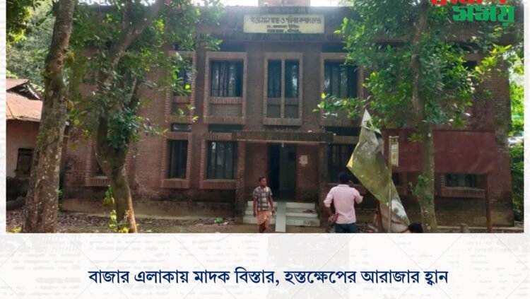 বাজার এলাকায় মাদক বিস্তার, হস্তক্ষেপের আরাজার হ্বান