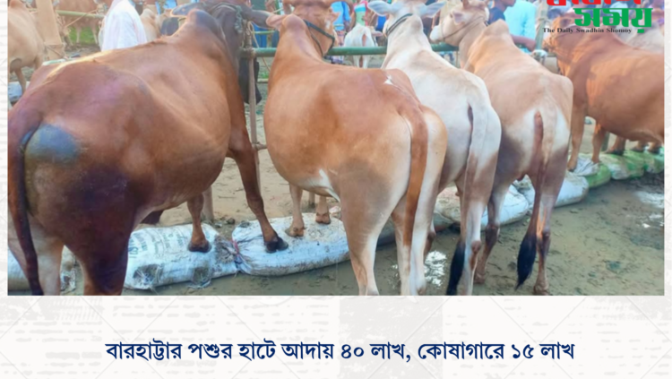 বারহাট্টার পশুর হাটে আদায় ৪০ লাখ, কোষাগারে ১৫ লাখ