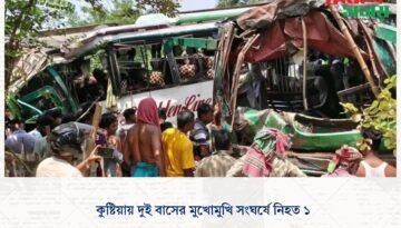 কুষ্টিয়ায় দুই বাসের মুখোমুখি সংঘর্ষে নিহত ১