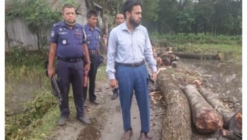 নান্দাইলে এসিল্যান্ডের অভিযানে কাঠ জব্দ