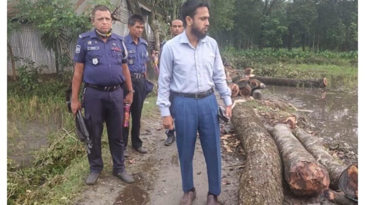 নান্দাইলে এসিল্যান্ডের অভিযানে কাঠ জব্দ