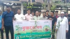 তজুমদ্দিনে স্টুডেন্ট স্টার গ্রুপ ওয়েলফেয়ার ফাউন্ডেশনের বৃক্ষরোপণ কর্মসূচি