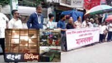 রাজশাহীতে ককটেল বিস্ফোরণ – ব্যবসায়ীদের মানববন্ধন