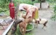 ১,২২০ অসহায় পরিবার পেল স্বাবলম্বী হওয়ার সুযোগ