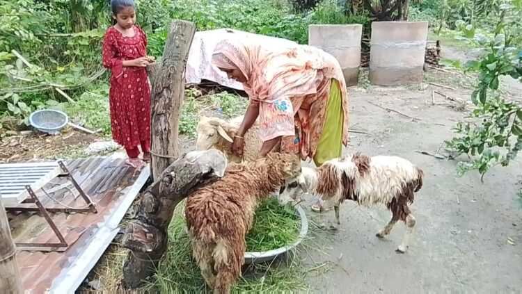 ১,২২০ অসহায় পরিবার পেল স্বাবলম্বী হওয়ার সুযোগ