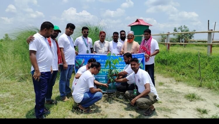 বিশ্ব পরিবেশ দিবস উপলক্ষে মানিকগঞ্জে রাইট টক বাংলাদেশের বৃক্ষরোপণ কর্মসূচি পালন