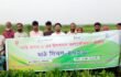 ফরিদপুরে বারি চিনাবাদাম-৮ জাতের উপর মাঠ দিবস