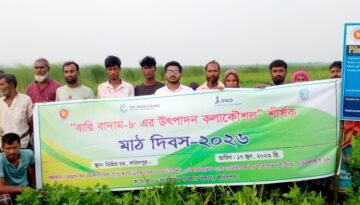 ফরিদপুরে বারি চিনাবাদাম-৮ জাতের উপর মাঠ দিবস