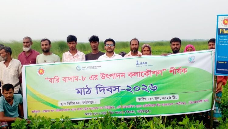 ফরিদপুরে বারি চিনাবাদাম-৮ জাতের উপর মাঠ দিবস