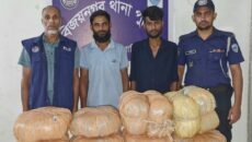 বিজয়নগরে ২০ কেজি গাঁজাসহ দুই মাদক কারবারি গ্রেপ্তার