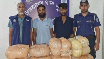 বিজয়নগরে ২০ কেজি গাঁজাসহ দুই মাদক কারবারি গ্রেপ্তার