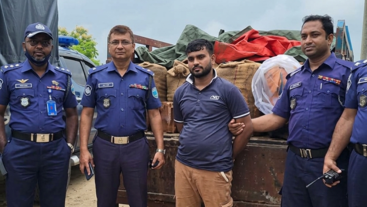 কসবায় পুলিশের বড় সাফল্য: ৩৬০ কেজি গাঁজাসহ পিকআপ জব্দ, চালক আটক