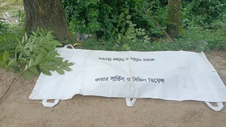 দিনাজপুরের বীরগঞ্জে সড়ক দুর্ঘটনায় মা ছেলে নিহত