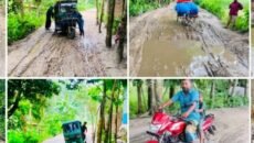 মানিকগঞ্জের দৌলতপুরে শামবারাদিয়া সড়কের বেহাল দশা, চরম দুর্ভোগে হাজারো মানুষ