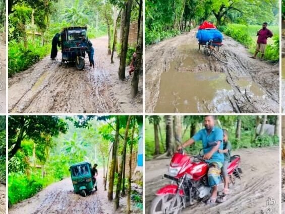 মানিকগঞ্জের দৌলতপুরে শামবারাদিয়া সড়কের বেহাল দশা, চরম দুর্ভোগে হাজারো মানুষ