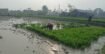 আষাঢ়েও খরায় পুড়ছে বরেন্দ্র সেচ ও সারের বাড়তি খরচে দিশেহারা গোদাগাড়ীর কৃষকেরা