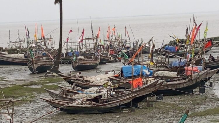 ভরা মৌসুমেও মিলছে না ইলিশ সংকটে তজুমদ্দিনের হাজারো জেলে