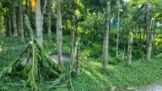 নেত্রকোনায় জমি বিরোধের জেরে হামলার অভিযোগ – স্বর্ণালংকার ছিনতাই ও ভাঙচুর