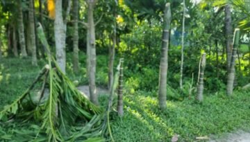 নেত্রকোনায় জমি বিরোধের জেরে হামলার অভিযোগ – স্বর্ণালংকার ছিনতাই ও ভাঙচুর