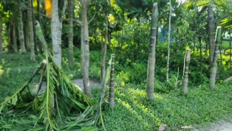 নেত্রকোনায় জমি বিরোধের জেরে হামলার অভিযোগ – স্বর্ণালংকার ছিনতাই ও ভাঙচুর