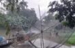 আত্রাইয়ে নদ-নদীতে পানি বৃদ্ধি – মাছ শিকারে ব্যস্ত জেলেরা