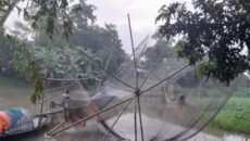 আত্রাইয়ে নদ-নদীতে পানি বৃদ্ধি – মাছ শিকারে ব্যস্ত জেলেরা