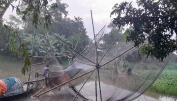 আত্রাইয়ে নদ-নদীতে পানি বৃদ্ধি – মাছ শিকারে ব্যস্ত জেলেরা