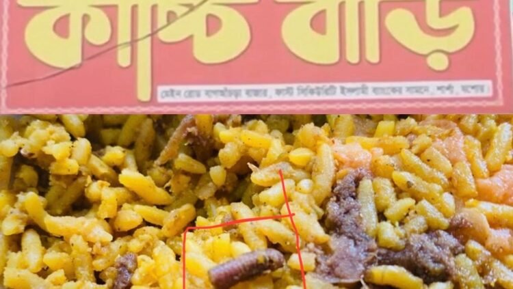 শার্শার বাগা আঁচড়া কাচ্চি ঘরে খিচুড়ির ভিতরে পাওয়া গেল (Millipeda 🐛) কেন্নো!